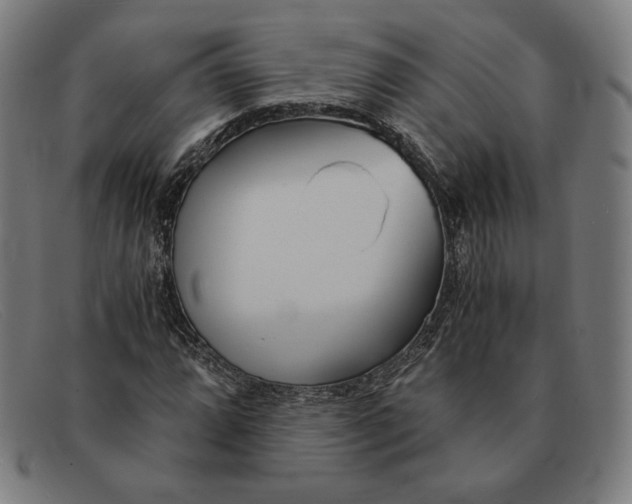 X0000091301064200708311332