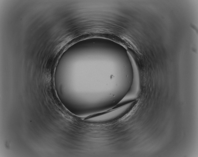 X0000091301065200708311332