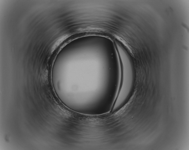 X0000091301066200708311332