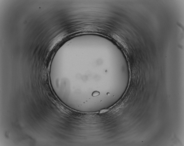 X0000091301067200708311332