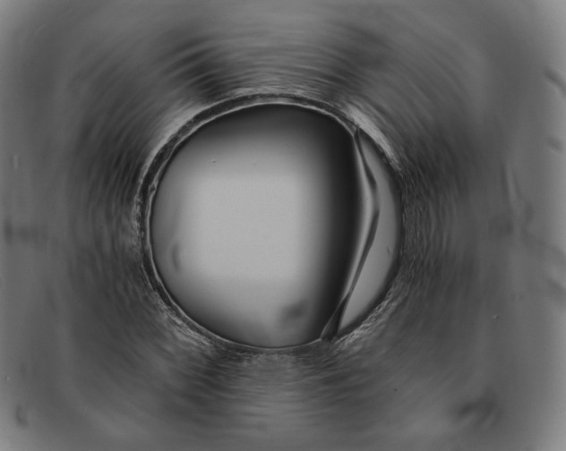 X0000091301068200708311332