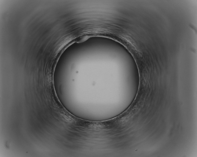 X0000091301073200708311332