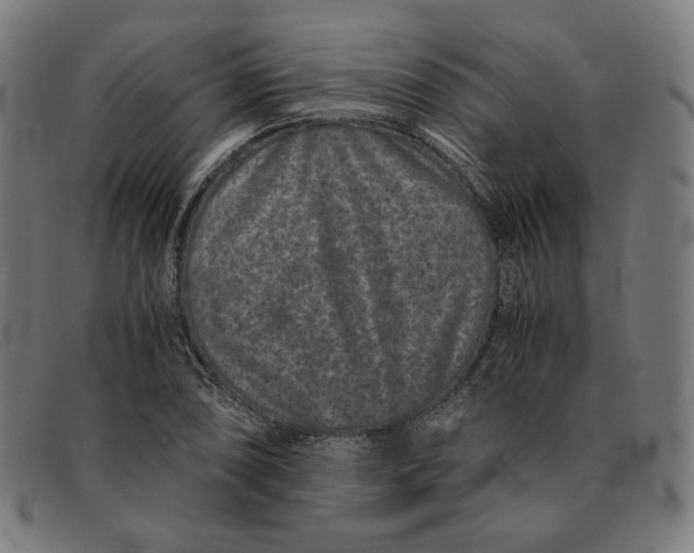 X0000091301074200708311332