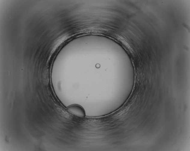 X0000091301075200708311332