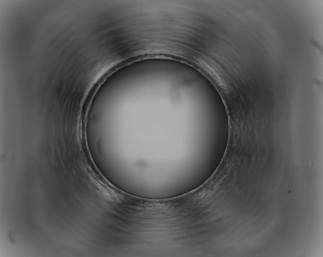 X0000091301076200708311332