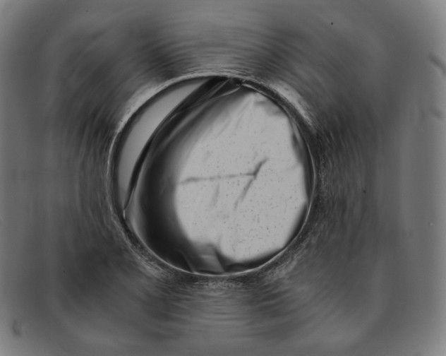 X0000091301077200708311332