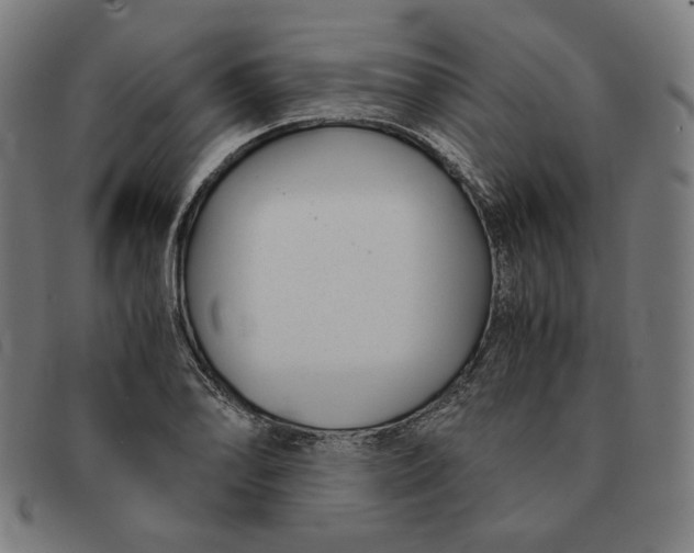 X0000091301078200708311332