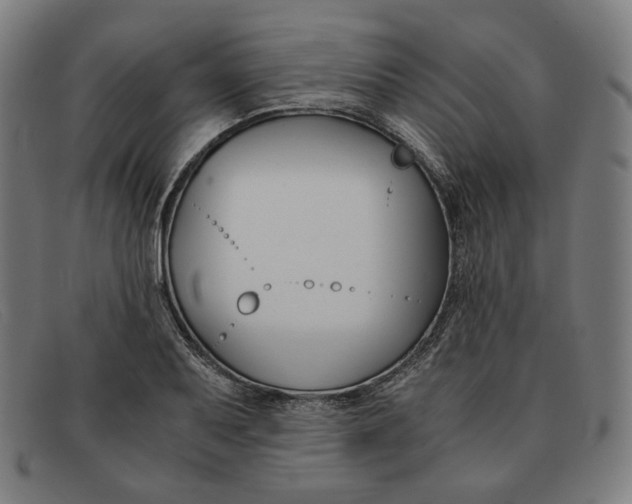 X0000091301079200708311332