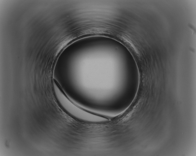 X0000091301081200708311332