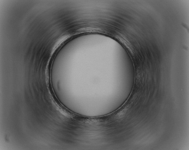 X0000091301082200708311332