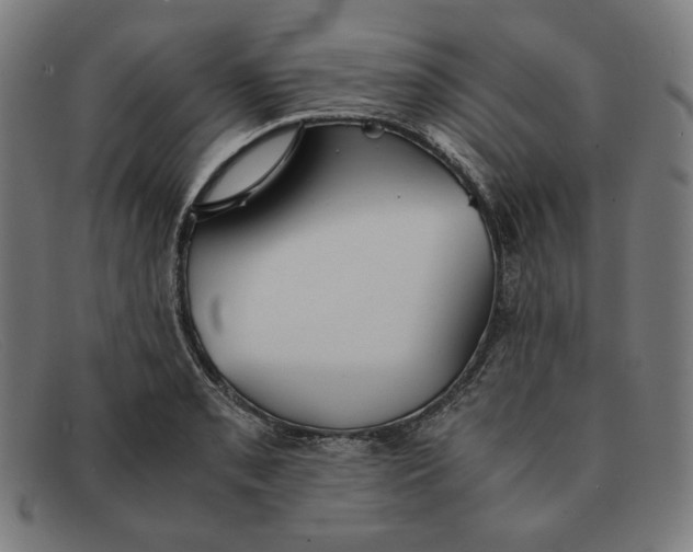 X0000091301085200708311332