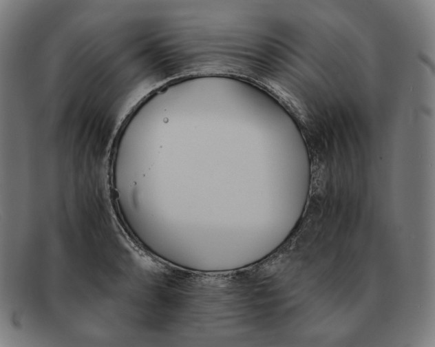 X0000091301086200708311332