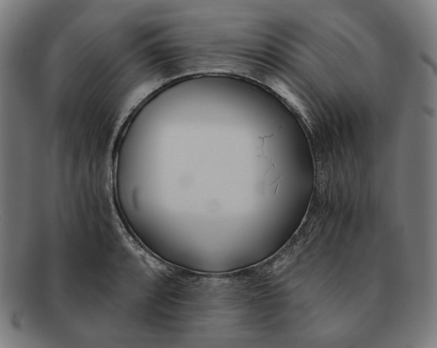 X0000091301088200708311332