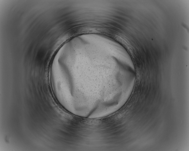 X0000091301090200708311332