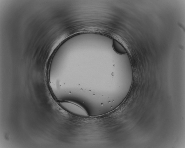 X0000091301091200708311332