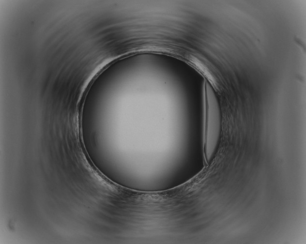 X0000091301092200708311332