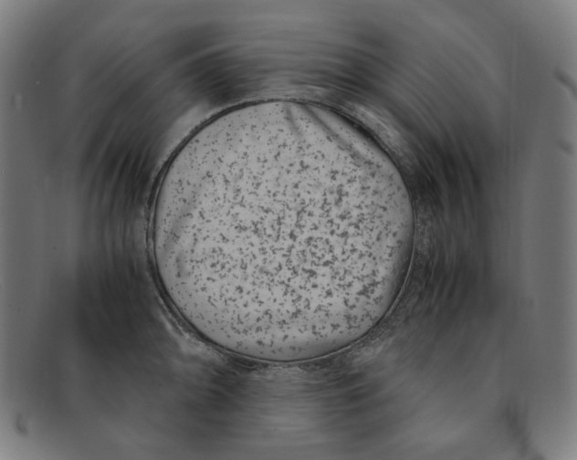 X0000091301094200708311332