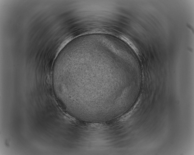 X0000091301097200708311332