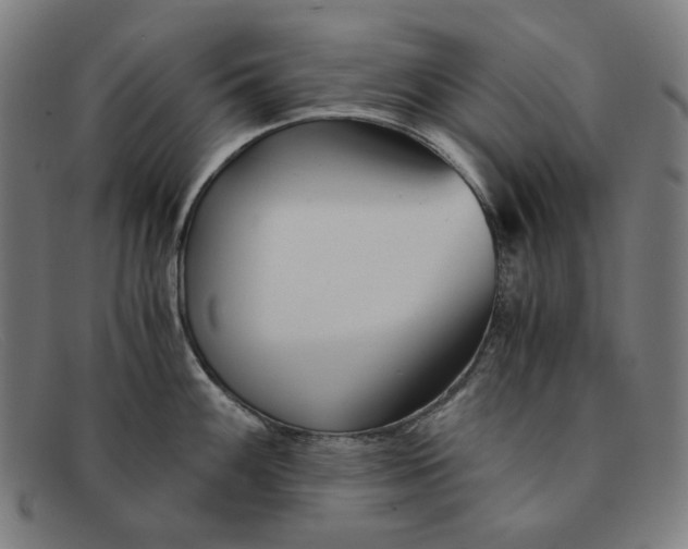 X0000091301100200708311332