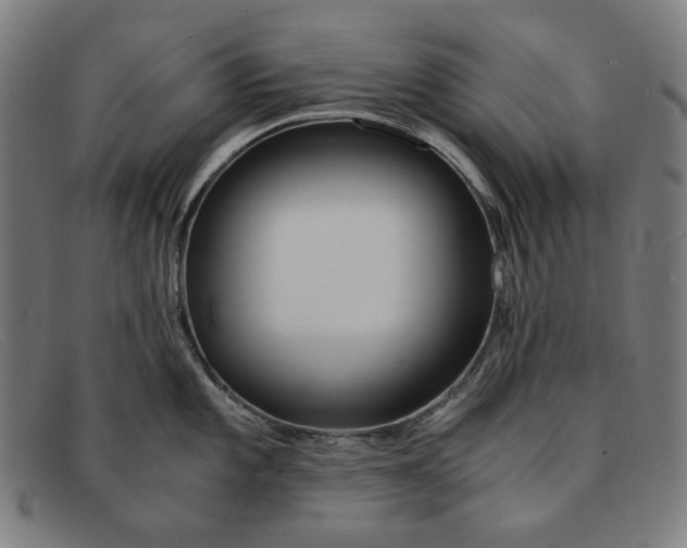 X0000091301101200708311332