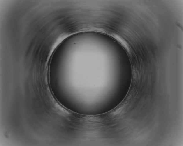 X0000091301102200708311332