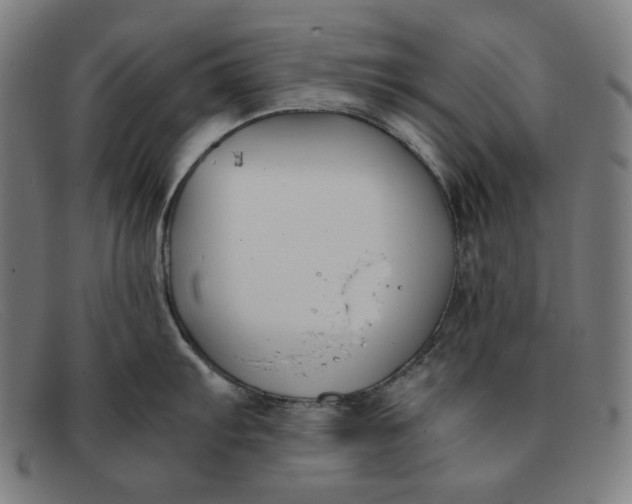 X0000091301103200708311332