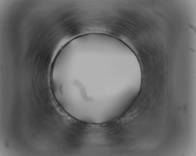 X0000091301104200708311332