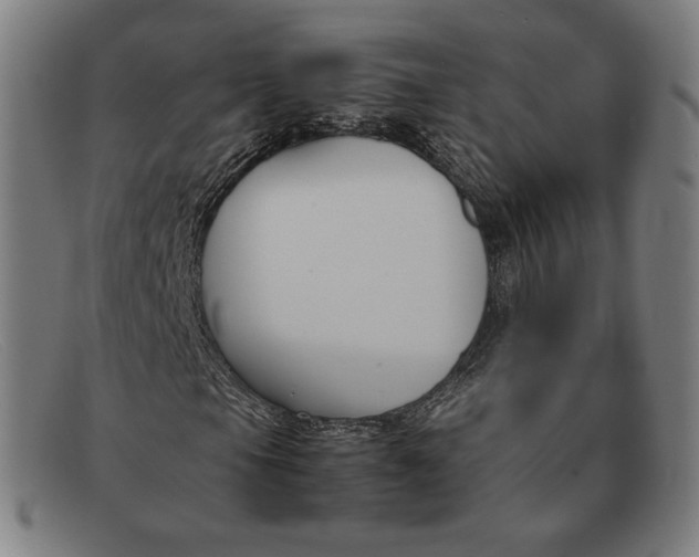 X0000091301105200708311331