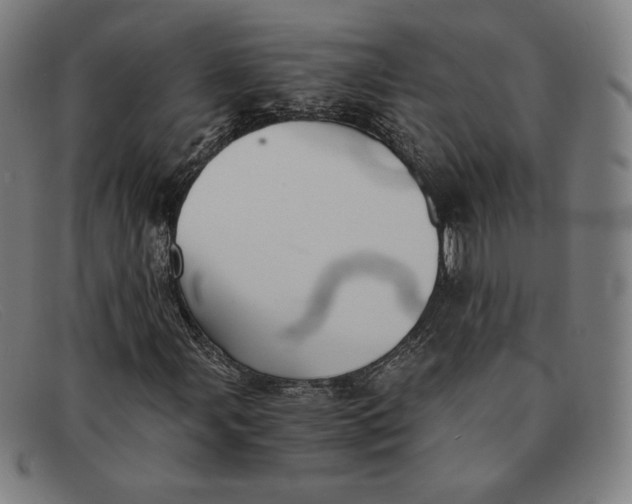 X0000091301107200708311331