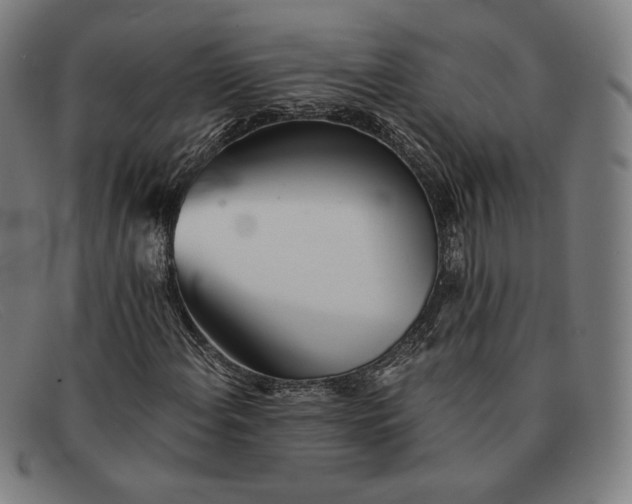 X0000091301108200708311331