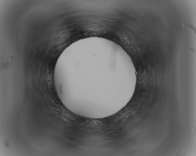 X0000091301109200708311331