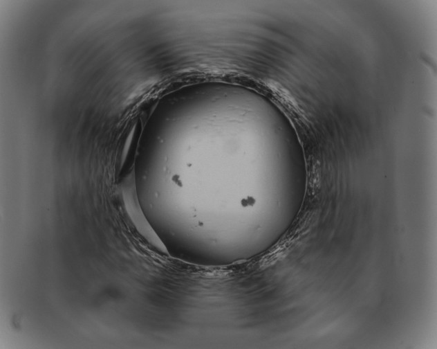 X0000091301110200708311331