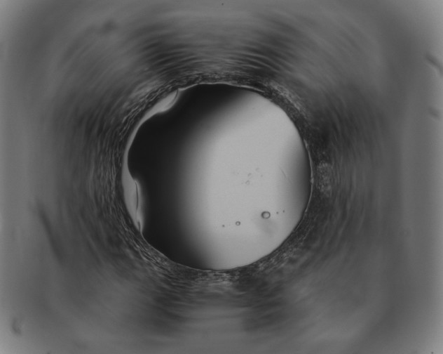 X0000091301111200708311331