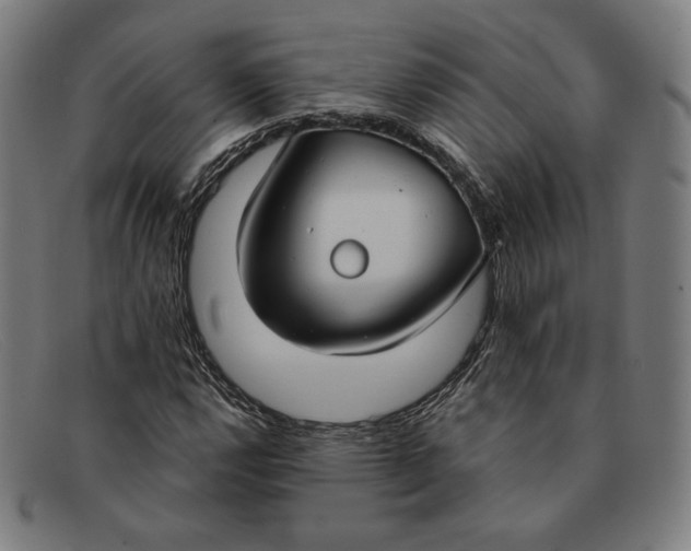 X0000091301112200708311331