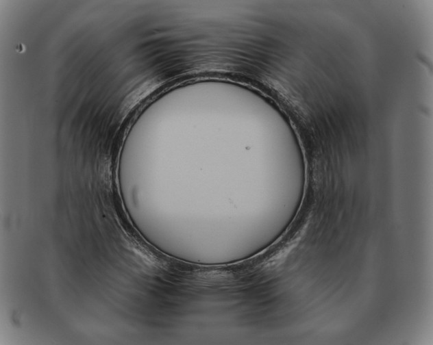 X0000091301113200708311331