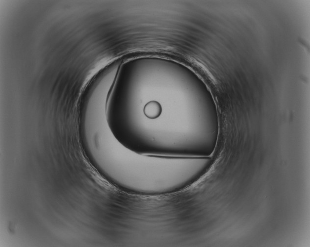 X0000091301114200708311331