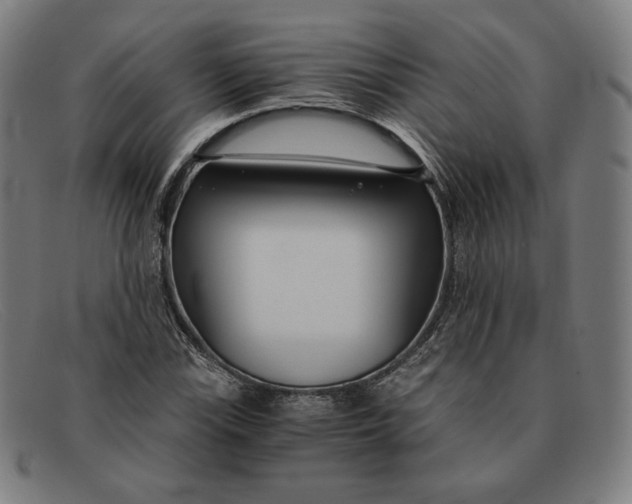 X0000091301115200708311331