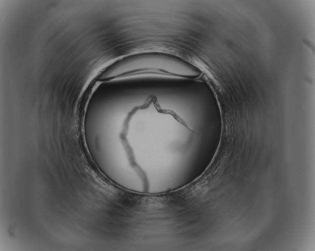 X0000091301116200708311331