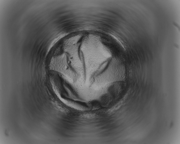 X0000091301117200708311331