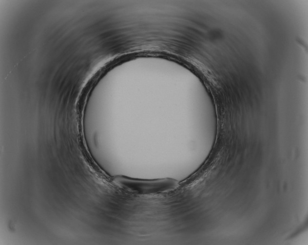 X0000091301118200708311331