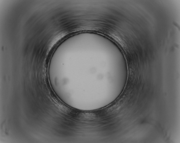 X0000091301119200708311331