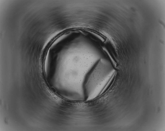 X0000091301120200708311331