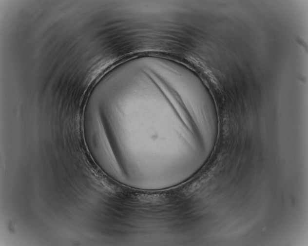 X0000091301121200708311331