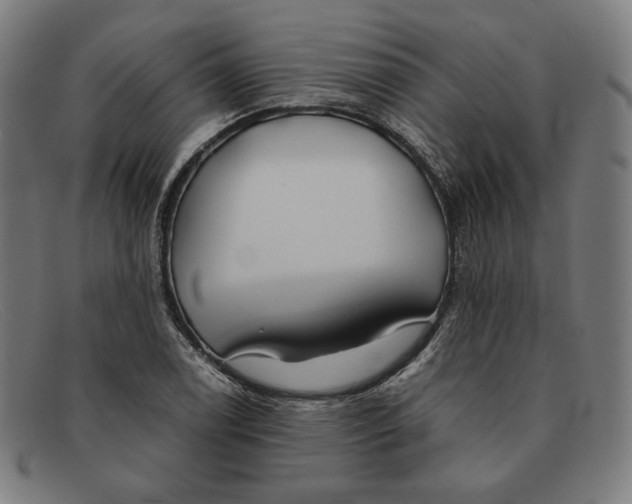 X0000091301122200708311331