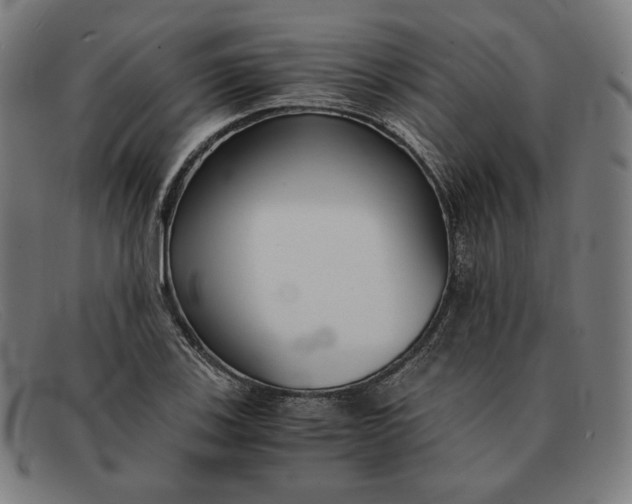 X0000091301123200708311331