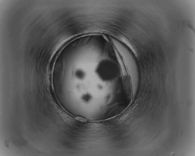 X0000091301124200708311331