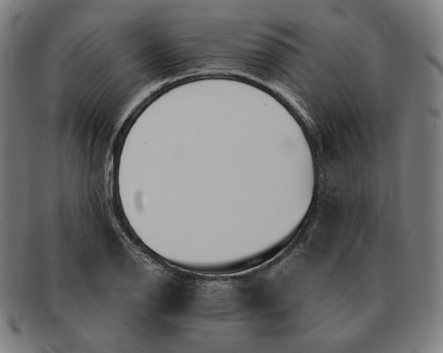 X0000091301126200708311331