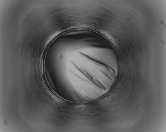 X0000091301127200708311331