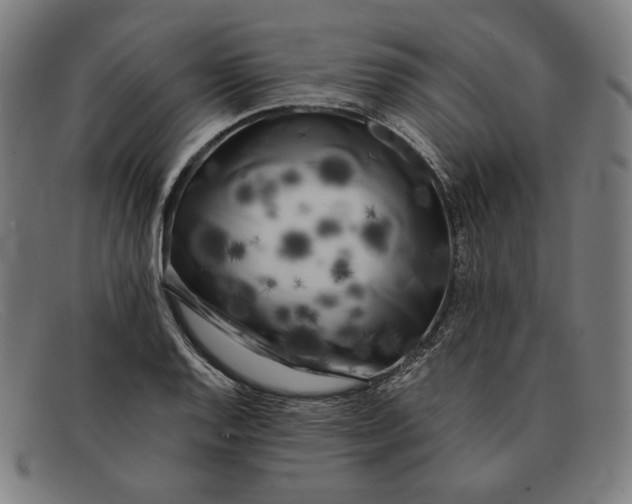 X0000091301128200708311331