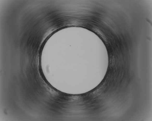 X0000091301130200708311331